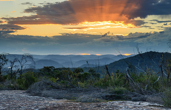 Australian Bush Sunset with Tessellated Rock