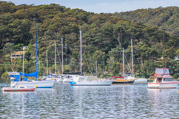 Boats in the Bay