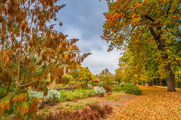 Castlemaine Botanical Gardens in late Autumn