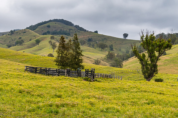 Overcast day in the country with cattle yards, trees and hills
