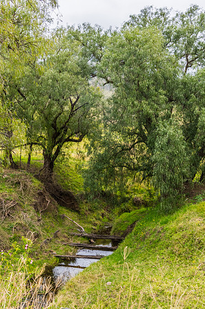 Overcast day in the countryside with creek and trees