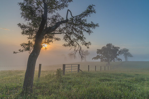Rural Countryside in the early morning light