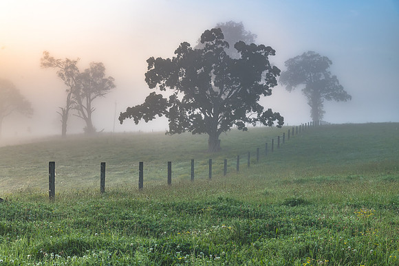 Rural Countryside in the early morning light