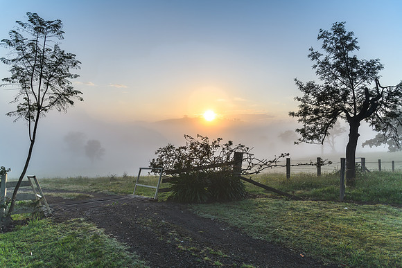 Rural Countryside in the early morning light
