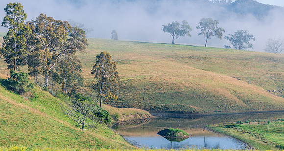 Rural Countryside in the early morning light with fog
