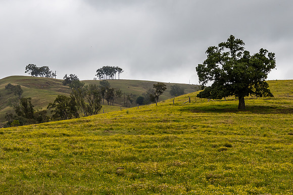 Overcast day in the country surrounded by rural land and hills