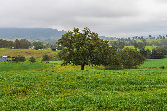Overcast day in the country overlooking farm land