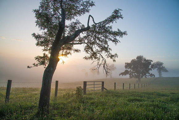 Rural Countryside in the early morning light and mist