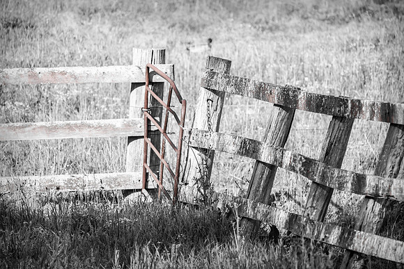 Fence on a rural property in black and white with selective red
