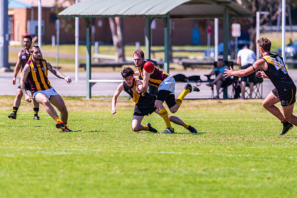 Round 12 Shield - Gosford v Cardiff AFL