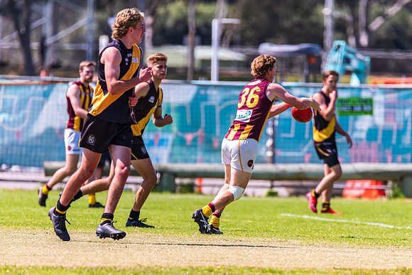 Round 12 Shield - Gosford v Cardiff AFL