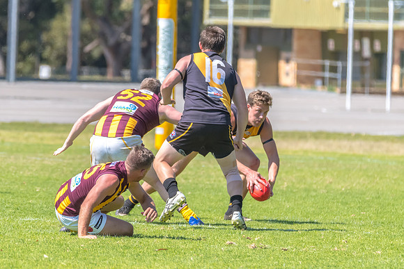 Round 12 Shield - Gosford v Cardiff AFL
