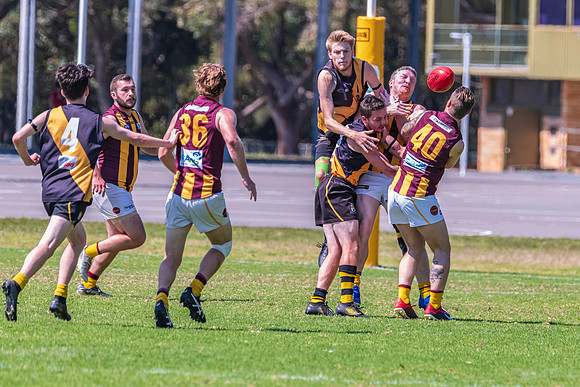 Round 12 Shield - Gosford v Cardiff AFL