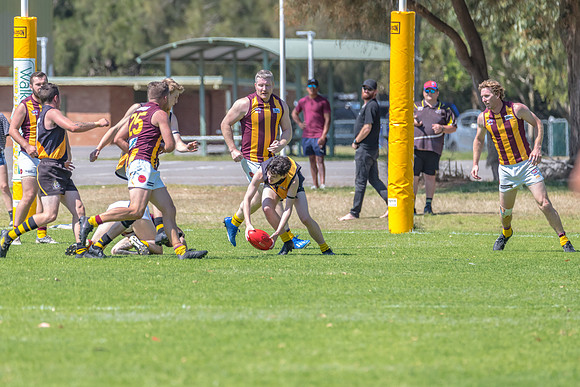 Round 12 Shield - Gosford v Cardiff AFL