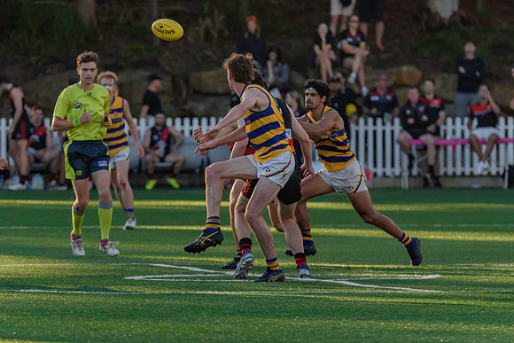 Rd 3 MPD - North Shore v Sydney Uni - 23 April 2022