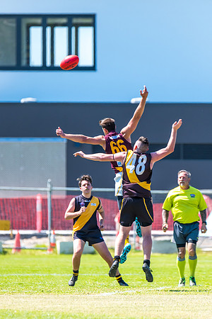 Round 12 Shield - Gosford v Cardiff AFL