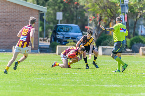 Round 12 Shield - Gosford v Cardiff AFL