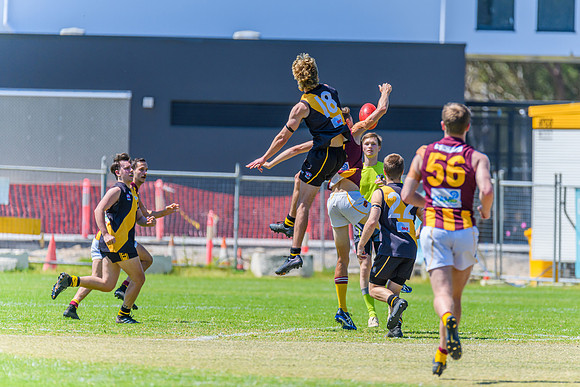 Round 12 Shield - Gosford v Cardiff AFL