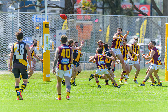 Round 12 Shield - Gosford v Cardiff AFL