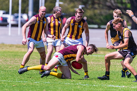 Round 12 Shield - Gosford v Cardiff AFL