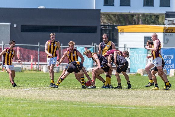 Round 12 Shield - Gosford v Cardiff AFL