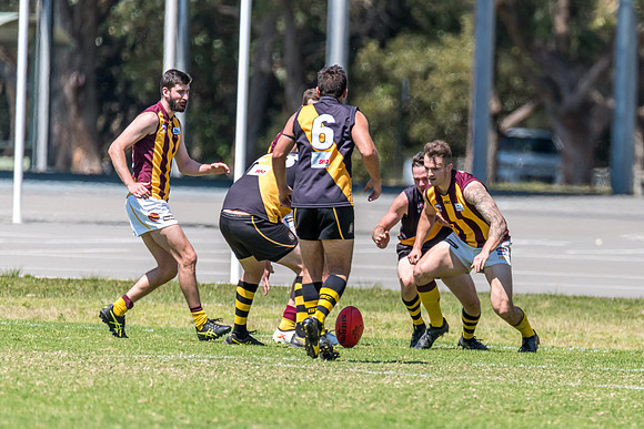 Round 12 Shield - Gosford v Cardiff AFL