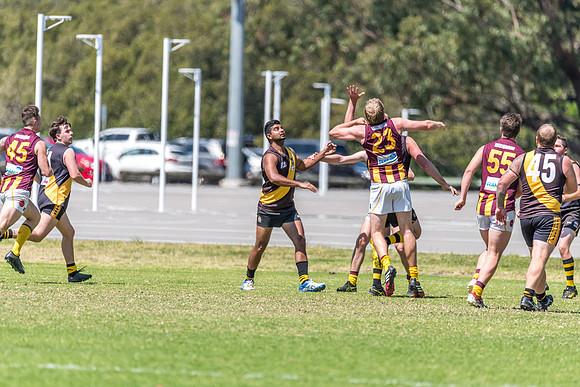 Round 12 Shield - Gosford v Cardiff AFL