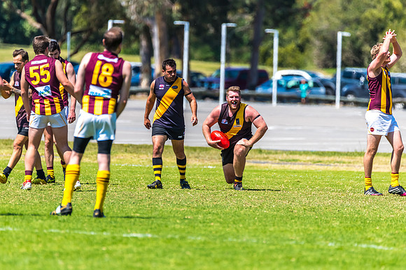 Round 12 Shield - Gosford v Cardiff AFL