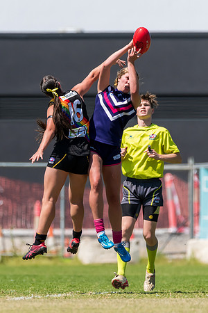 Round 12 Plate Womens - Gosford v Lake Macquarie AFL