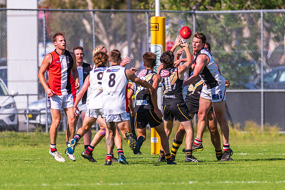 Round 12 Cup - Gosford v Terrigal-Avoca AFL