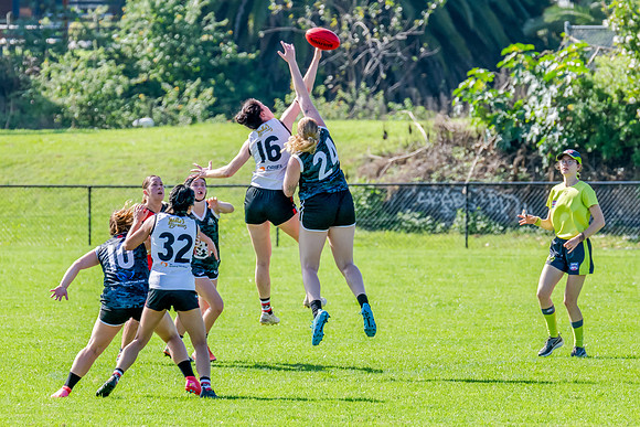 Rd 4 WD2 - Inner West v Randwick City - 25 April 2025