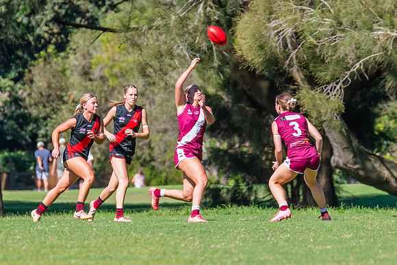 Rd 2 WPD - Manly Warringah v North Shore - 5 April 2025
