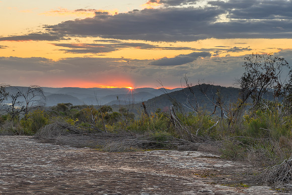 Australian Bush Sunset with Tessellated Rock