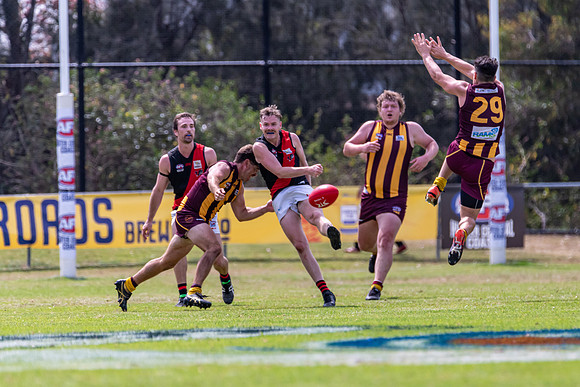Shield Grand Final - Cardiff vs Killarney Vale