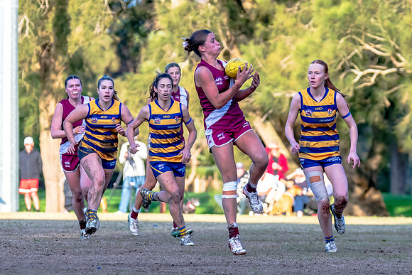 Rd 17 WPD - Manly Warringah v Sydney Uni - 16 August 2025