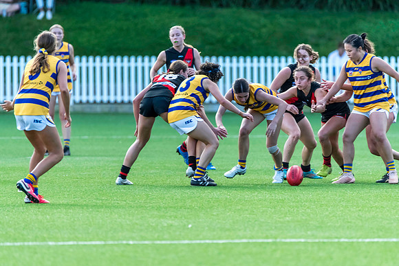 Rd 3 WPD - North Shore v Sydney Uni - 23 April 2022
