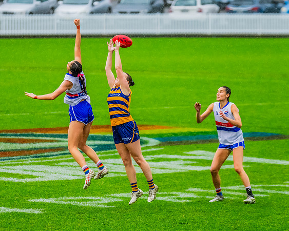 Rd 8 WPD - UNSW-ES v Sydney Uni - 1 June 2024