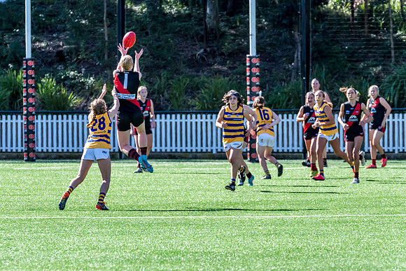 Rd 3 WPD - North Shore v Sydney Uni - 23 April 2022