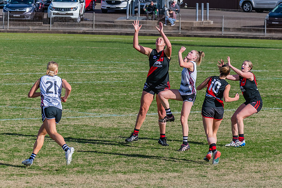 WPD Elimination Final - North Shore v Inner West - 7 August 2022