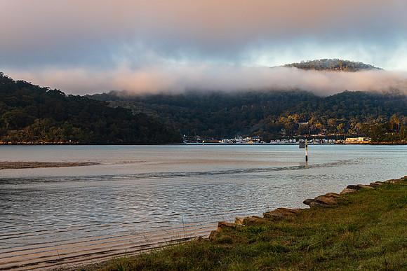 Misty morning at the river