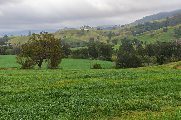 Rural farmland on a foggy morning with rolling hills