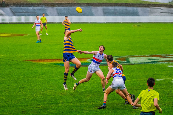 Rd 8 MPD - UNSW-ES v Sydney Uni - 1 June 2024