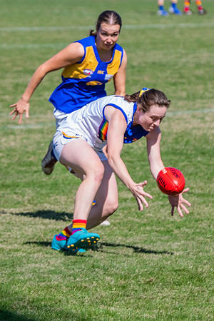 WPD Preliminary Final - East Coast v Sydney University - 21 Augu