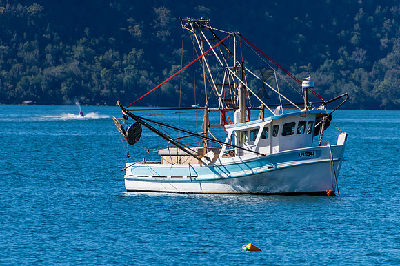 One of the Fishing fleet at Patonga