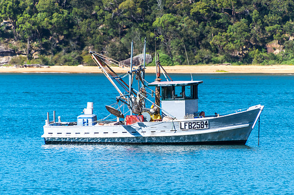 One of the Fishing fleet at Patonga