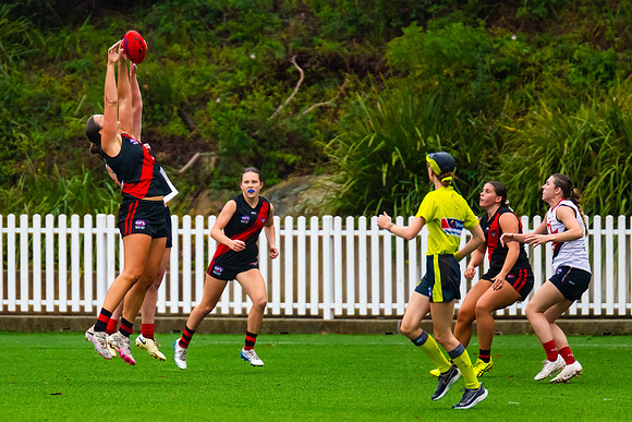 Rd 1 WPD - North Shore v Pennant Hills - 29 March 2025