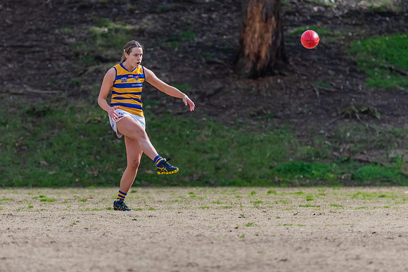 Rd 14 WPD - Pennant Hills v Sydney Uni - 16 July 2022
