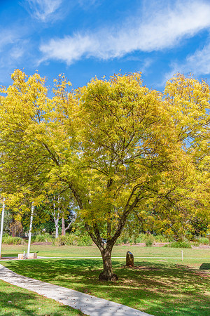 Early Autumn at Lake Canobolas