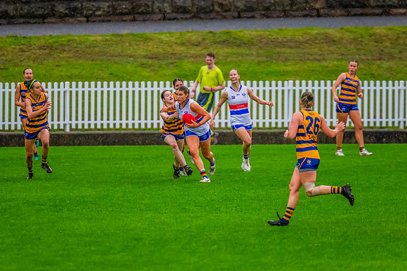 Rd 8 WPD - UNSW-ES v Sydney Uni - 1 June 2024