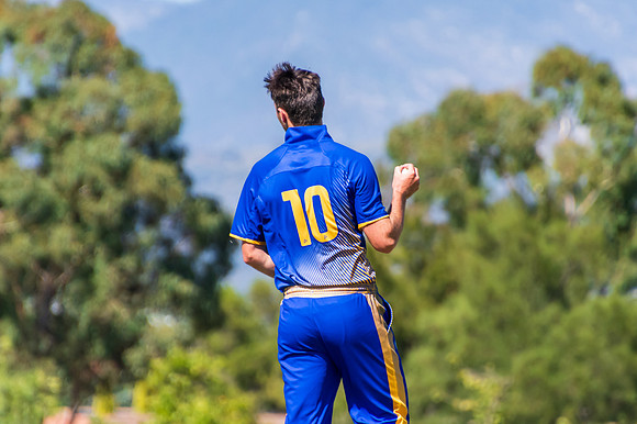 Country Cricket Invitational Series County ACT vs Country NSW